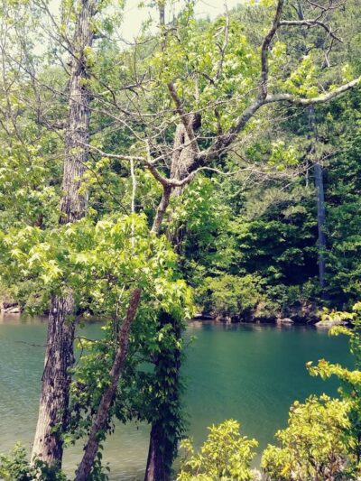 Canyon Mouth Picnic Area - Cedar Bluff, AL