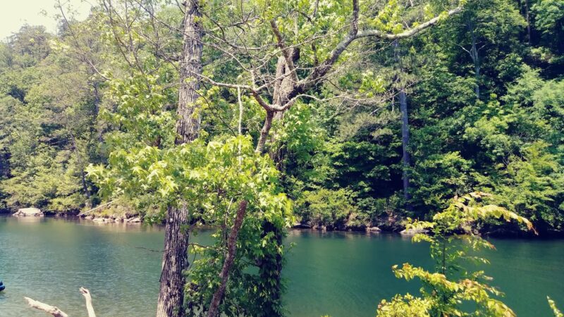 Canyon Mouth Picnic Area - Cedar Bluff, AL