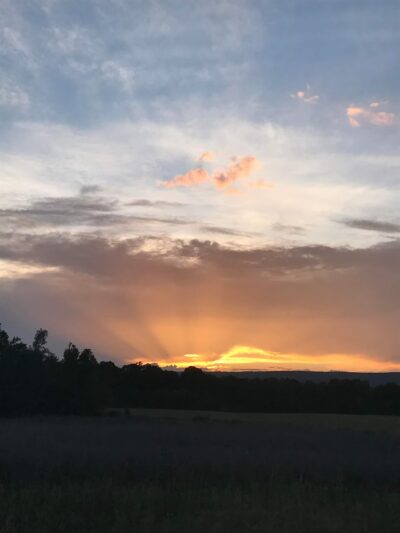 Cedar Bluff Town Park - Cedar Bluff, AL