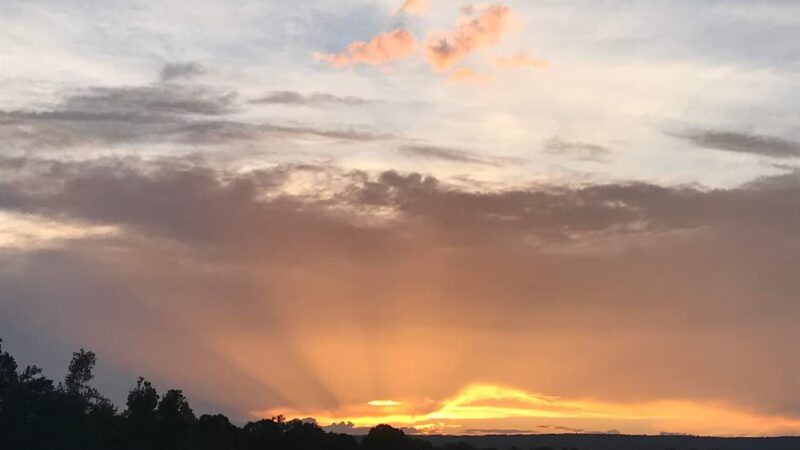 Cedar Bluff Town Park - Cedar Bluff, AL