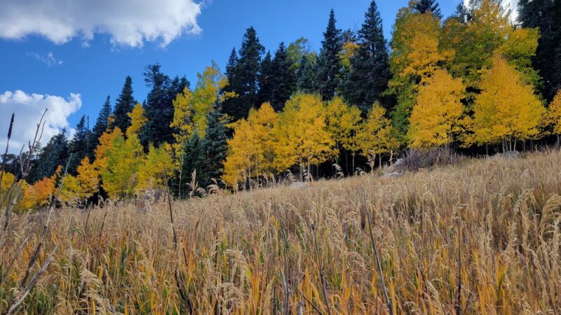10k Trailhead - Cedar Crest, NM