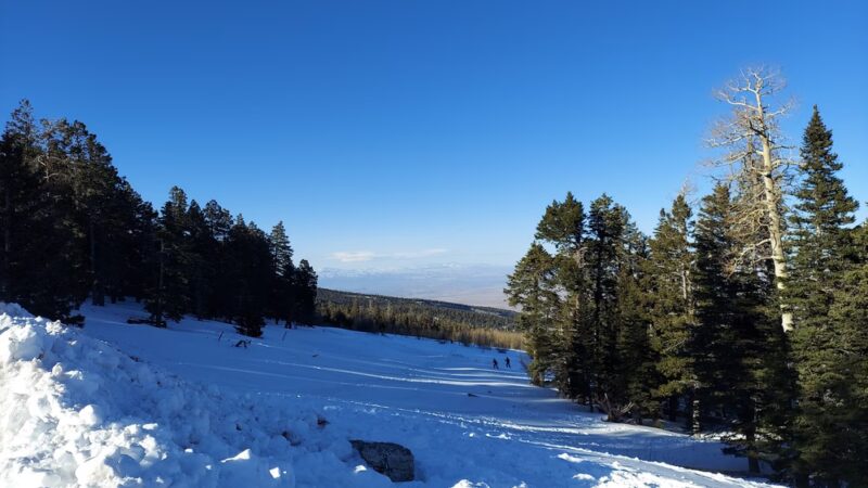 10k Trailhead - Cedar Crest, NM