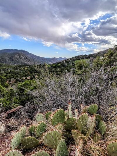 Carlito Springs Trail - Cedar Crest, NM