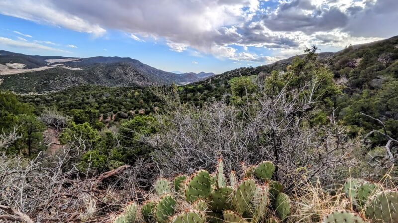 Carlito Springs Trail - Cedar Crest, NM