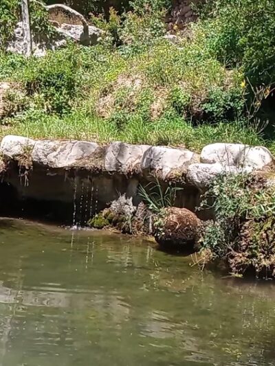 Carlito Springs Trail - Cedar Crest, NM