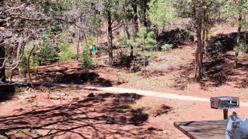 DOC LONG PICNIC AREA - Cedar Crest, NM
