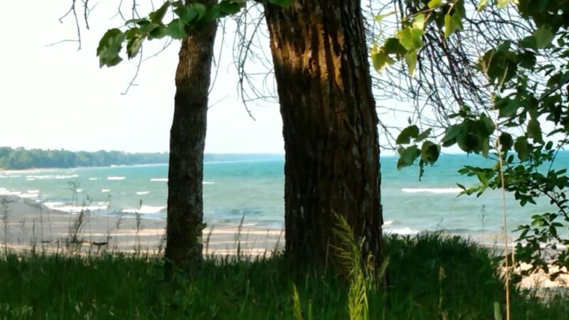 Amsterdam Park - Cedar Grove, WI