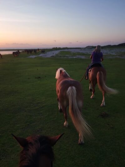 Cedar Island Ranch - Cedar Island, NC