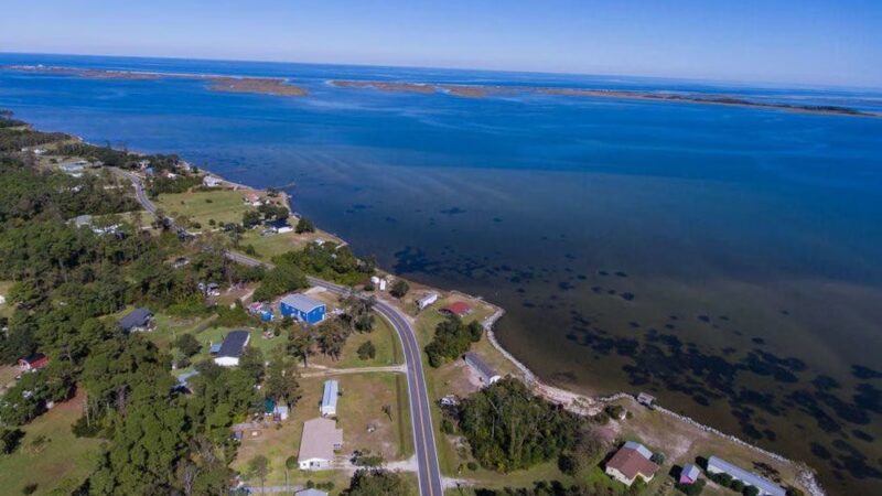 Cedar Island Ranch - Cedar Island, NC
