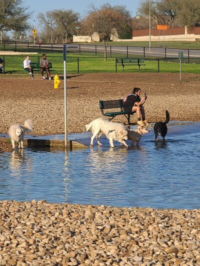 Cedar Bark Park - Cedar Park, TX