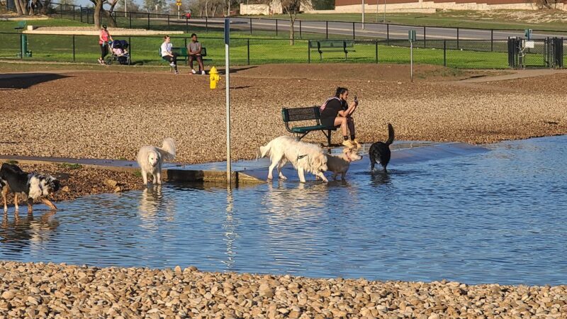 Cedar Bark Park - Cedar Park, TX