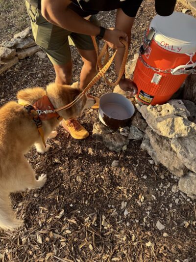 McCann Park Dog Park - Cedar Park, TX