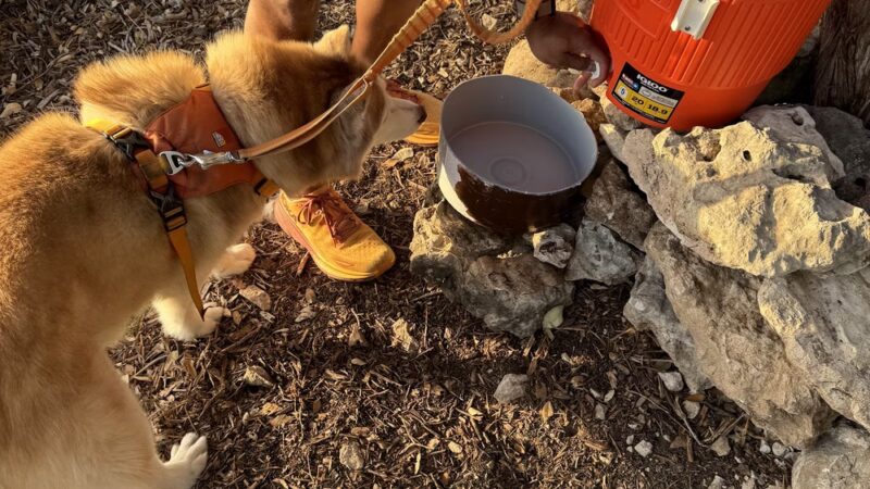 McCann Park Dog Park - Cedar Park, TX