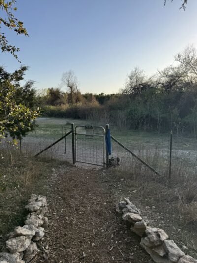 McCann Park Dog Park - Cedar Park, TX