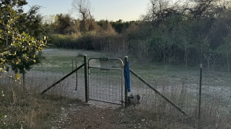 McCann Park Dog Park - Cedar Park, TX