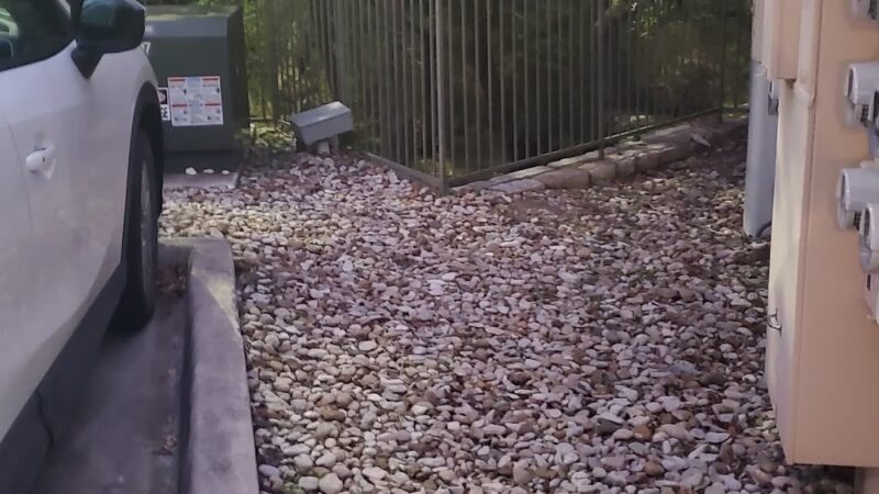 McCann Park Dog Park - Cedar Park, TX