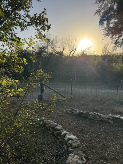 McCann Park Dog Park - Cedar Park, TX