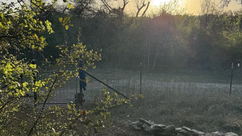 McCann Park Dog Park - Cedar Park, TX