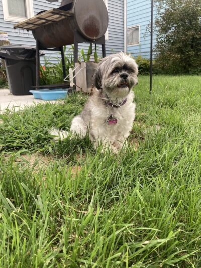 Kenwood Park - Cedar Rapids, IA