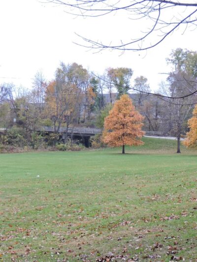 Nixon Park - Cedar Rapids, IA