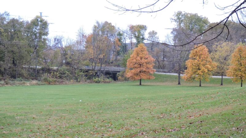 Nixon Park - Cedar Rapids, IA