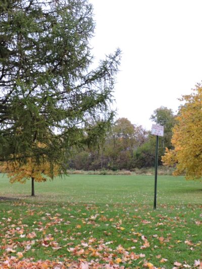 Nixon Park - Cedar Rapids, IA