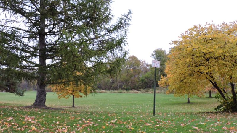 Nixon Park - Cedar Rapids, IA