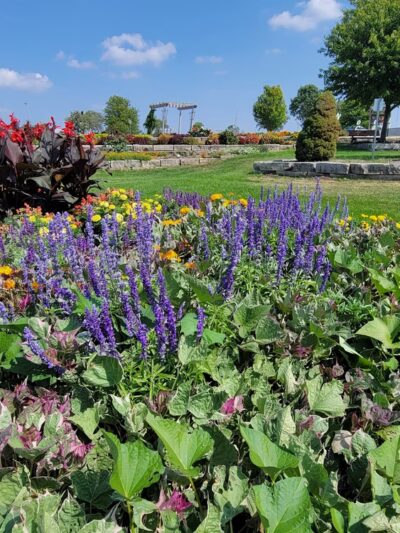 Noelridge Park - Cedar Rapids, IA