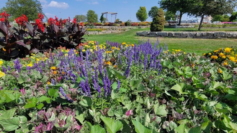 Noelridge Park - Cedar Rapids, IA