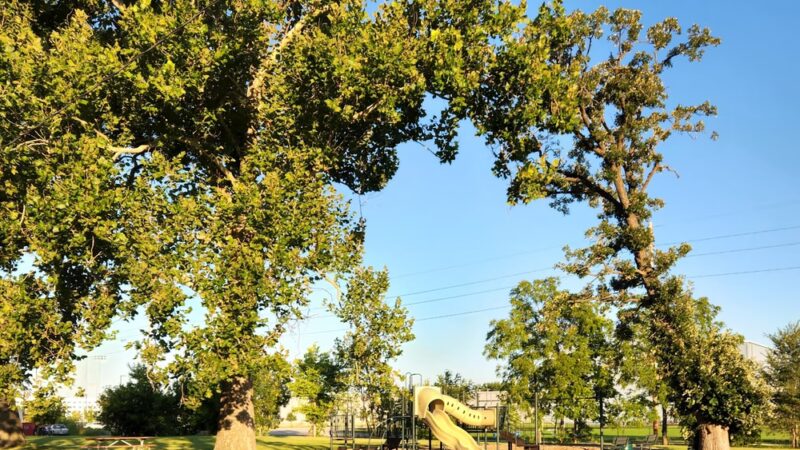 Tomahawk Park - Cedar Rapids, IA