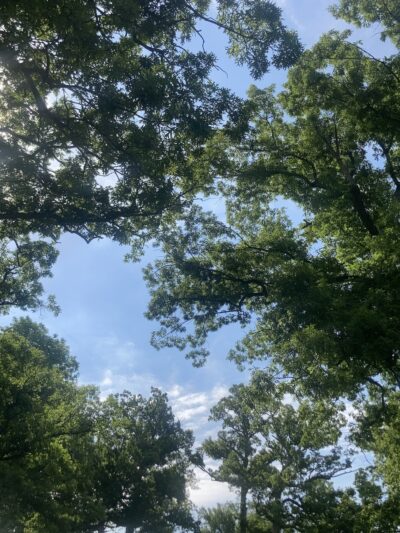 Tomahawk Park - Cedar Rapids, IA