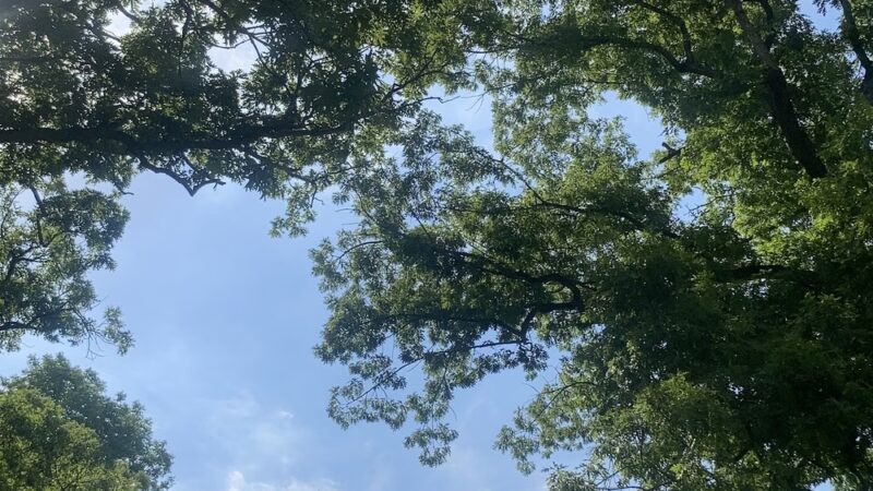 Tomahawk Park - Cedar Rapids, IA