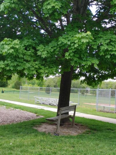 Cedar Pointe Park - Cedarburg, WI