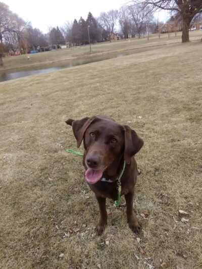 Centennial Park - Cedarburg, WI