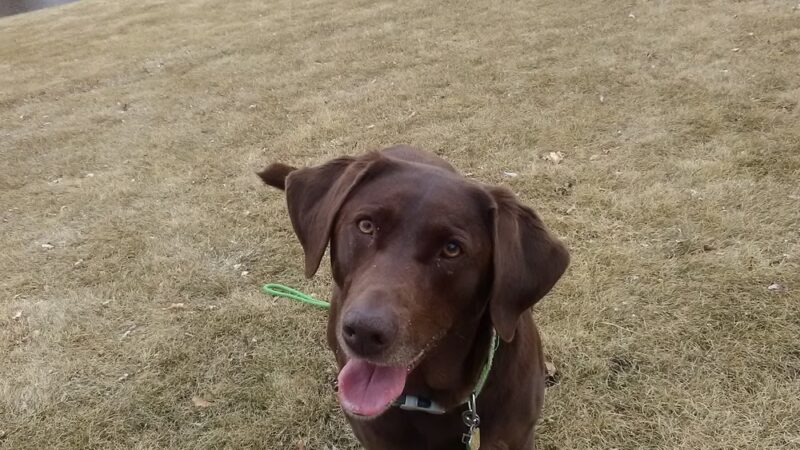 Centennial Park - Cedarburg, WI