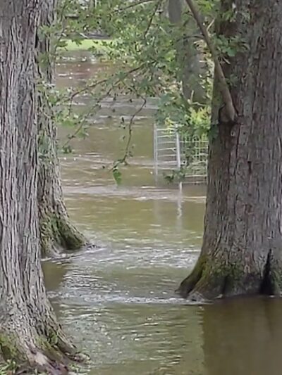 Covered Bridge County Park - Cedarburg, WI