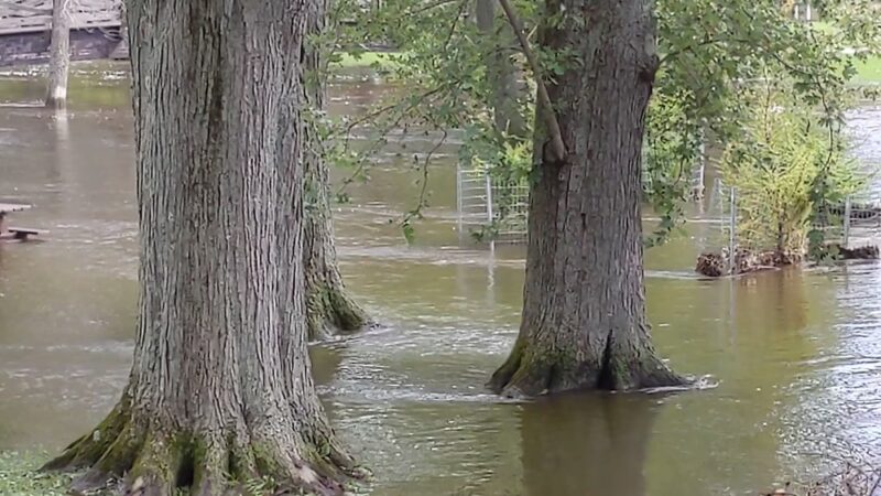 Covered Bridge County Park - Cedarburg, WI