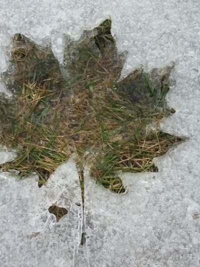 Georgetown Park - Cedarburg, WI