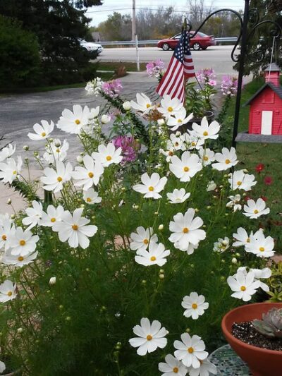 Grafton Lions Park - Cedarburg, WI