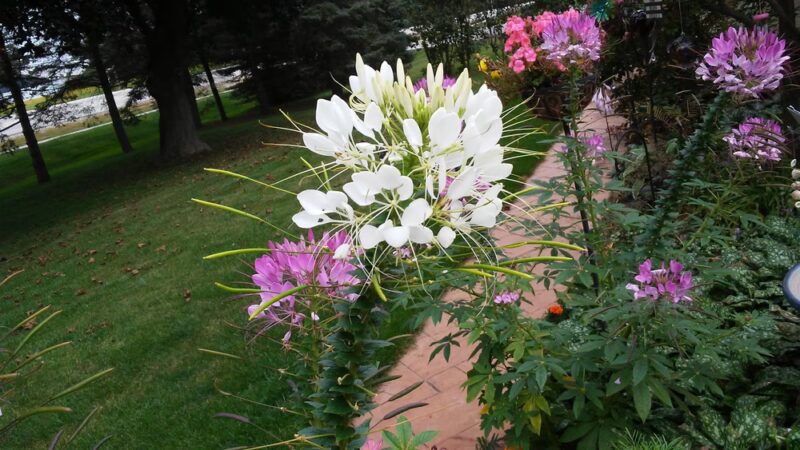 Grafton Lions Park - Cedarburg, WI