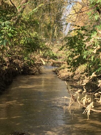 Wakema Park - Center Point, IA