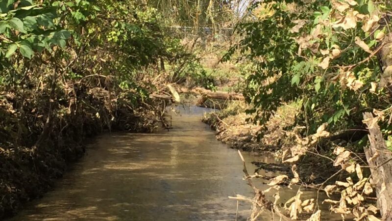 Wakema Park - Center Point, IA