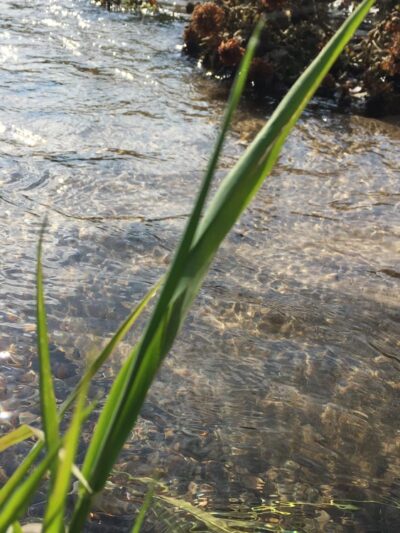 Wakema Park - Center Point, IA