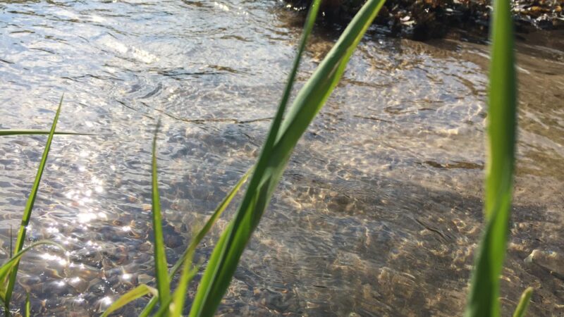 Wakema Park - Center Point, IA