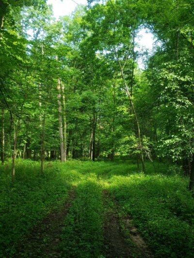 Hitaga Sand Ridge Prairie Preserve - Central City, IA