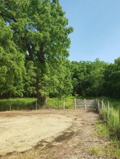 Hitaga Sand Ridge Prairie Preserve - Central City, IA