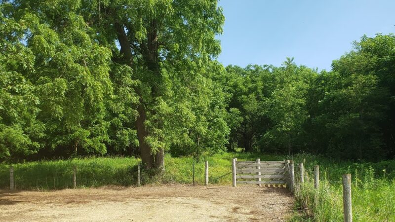 Hitaga Sand Ridge Prairie Preserve - Central City, IA