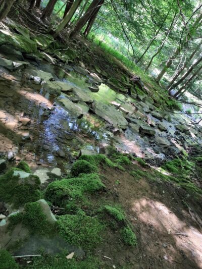 James W McIntyre Trail Indian Lake - Central City, PA