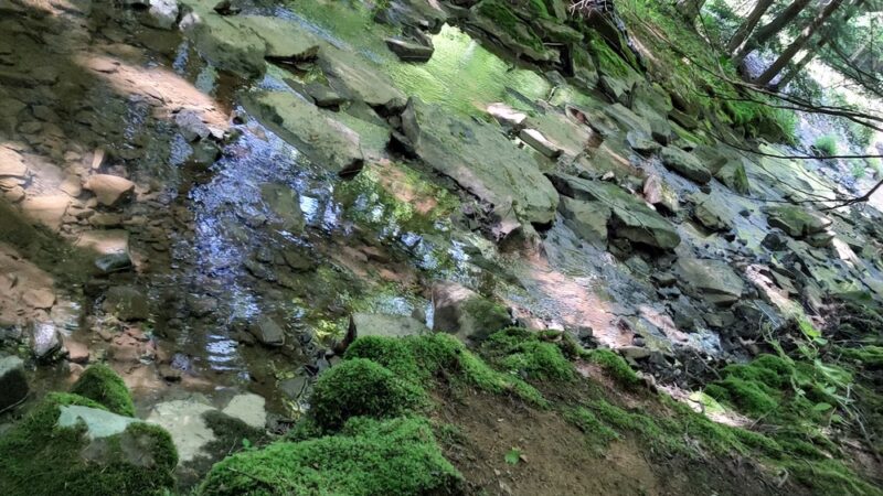 James W McIntyre Trail Indian Lake - Central City, PA