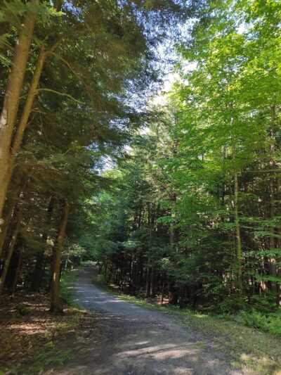 James W McIntyre Trail Indian Lake - Central City, PA